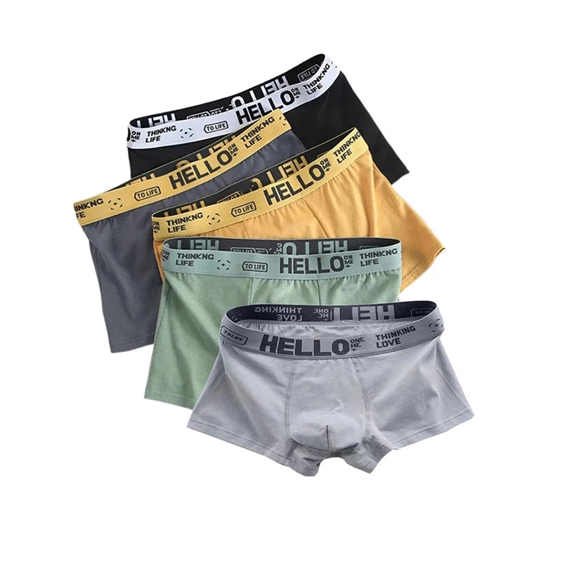 5 Pack Breathable Underwear Boxer for Men