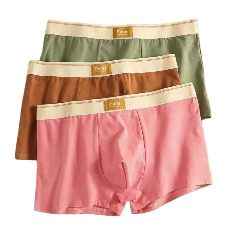 3 Pack Cotton Breathable Underwear Boxer for Men