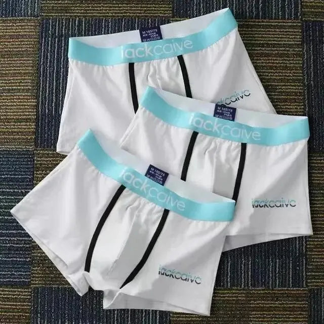 Cotton Printed Underwear Boxers for Men 3 Pcs