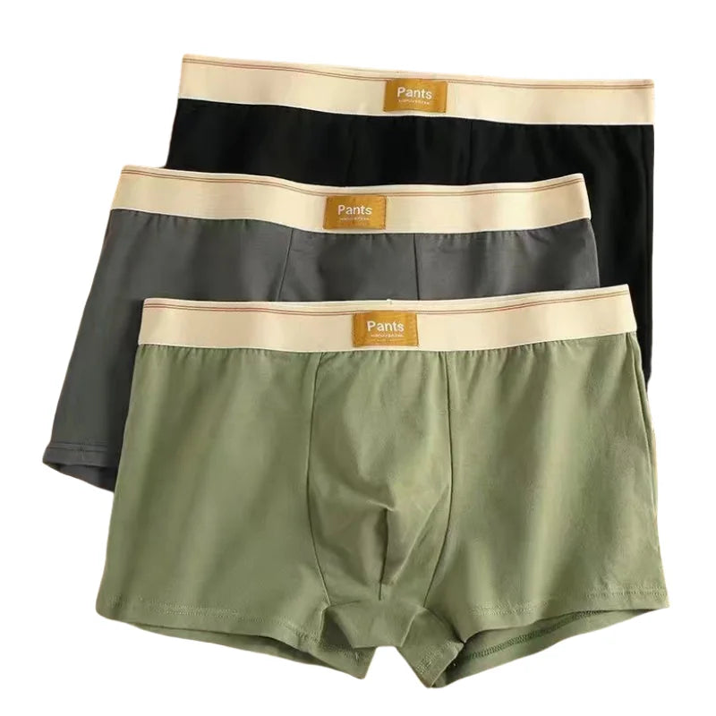 3 Pack Cotton Breathable Underwear Boxer for Men