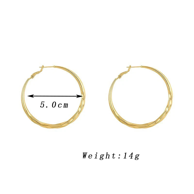 Women Twist Metal Hoop Earrings Party Jewelry