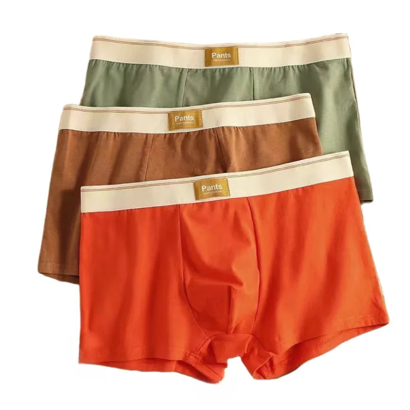 3 Pack Cotton Breathable Underwear Boxer for Men