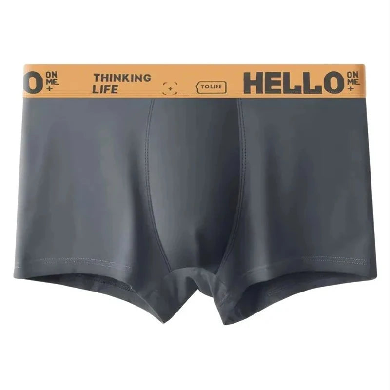 5 Pack Breathable Underwear Boxer for Men
