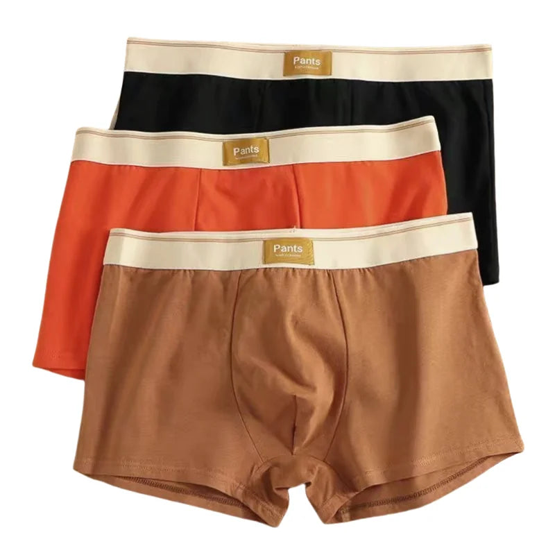 3 Pack Cotton Breathable Underwear Boxer for Men
