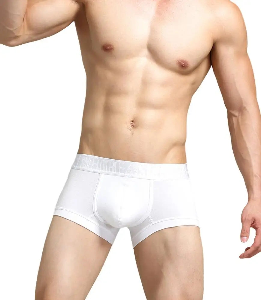 Breathable Cotton Low Waist Boxer Underwear for Men